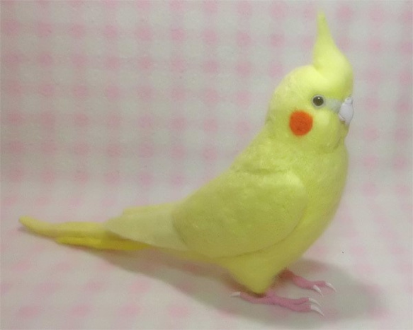 ライフサイズ　オカメインコ イエロールチノー（濃赤目）羊毛フェルト　受注作成　羊毛インコ　羊毛ぬいぐるみ　工房小鳥屋さん 3枚目の画像