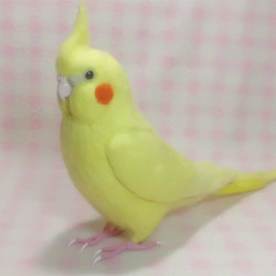 ライフサイズ　オカメインコ イエロールチノー（濃赤目）羊毛フェルト　受注作成　羊毛インコ　羊毛ぬいぐるみ　工房小鳥屋さん 4枚目の画像