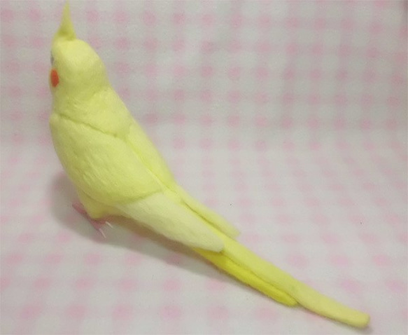 ライフサイズ　オカメインコ イエロールチノー（濃赤目）羊毛フェルト　受注作成　羊毛インコ　羊毛ぬいぐるみ　工房小鳥屋さん 5枚目の画像