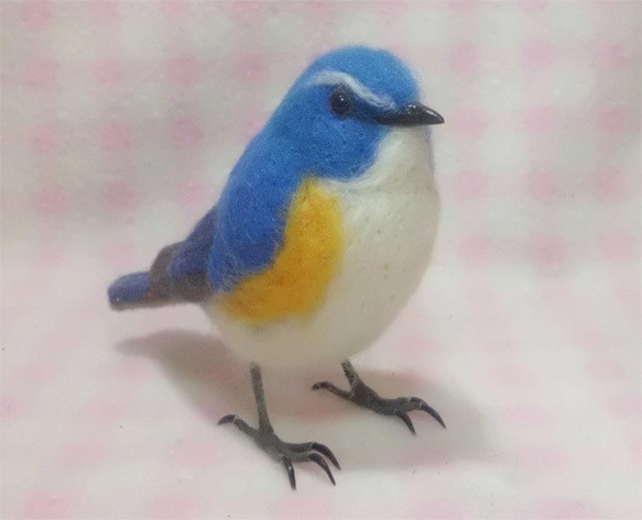 羊毛フェルト ほぼライフサイズ　ルリビタキ 瑠璃鶲 Red-flanked bluetail  受注作成　野鳥　 1枚目の画像