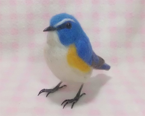 羊毛フェルト ほぼライフサイズ　ルリビタキ 瑠璃鶲 Red-flanked bluetail  受注作成　野鳥　 2枚目の画像