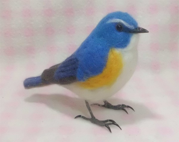 羊毛フェルト ほぼライフサイズ　ルリビタキ 瑠璃鶲 Red-flanked bluetail  受注作成　野鳥　 3枚目の画像