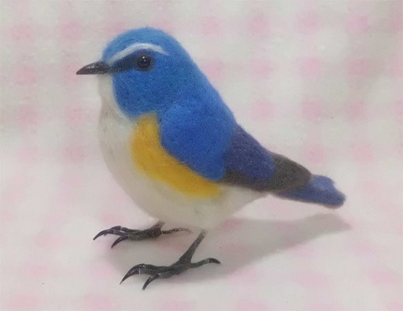 羊毛フェルト ほぼライフサイズ　ルリビタキ 瑠璃鶲 Red-flanked bluetail  受注作成　野鳥　 4枚目の画像