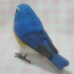 羊毛フェルト ほぼライフサイズ　ルリビタキ 瑠璃鶲 Red-flanked bluetail  受注作成　野鳥　 5枚目の画像