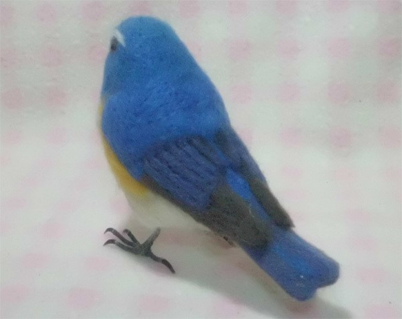 羊毛フェルト ほぼライフサイズ　ルリビタキ 瑠璃鶲 Red-flanked bluetail  受注作成　野鳥　 5枚目の画像