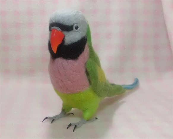 羊毛フェルト ライフサイズ  ダルマインコ Red- breasted Parakeet 受注作成　うちのこオーダー可能 1枚目の画像