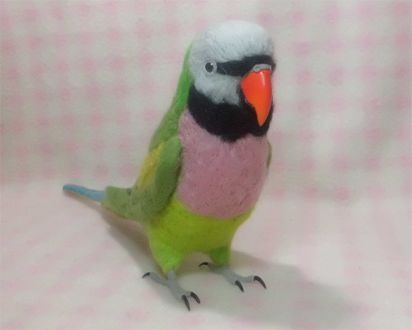 羊毛フェルト ライフサイズ  ダルマインコ Red- breasted Parakeet 受注作成　うちのこオーダー可能 2枚目の画像