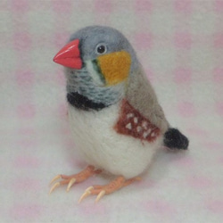 ***現實大小♪斑马雀　斑馬雀　Zebra finch☆羊毛氈*** 第2張的照片