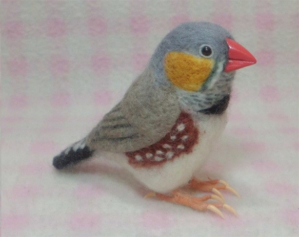 ***現實大小♪斑马雀　斑馬雀　Zebra finch☆羊毛氈*** 第3張的照片