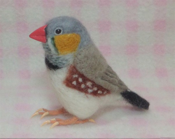 羊毛フェルト ほぼライフサイズ キンカチョウ（錦花鳥、錦華鳥 ）Zebra finch　受注作成　羊毛インコ　 4枚目の画像