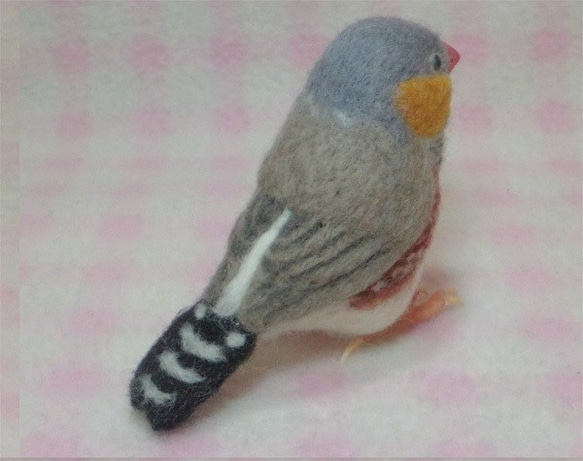 羊毛フェルト ほぼライフサイズ キンカチョウ（錦花鳥、錦華鳥 ）Zebra finch　受注作成　羊毛インコ　 5枚目の画像