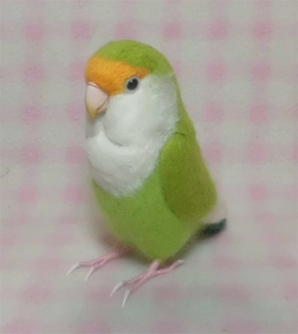 ライフサイズ　コザクラインコ　ブルーチェリー系　羊毛フェルト　受注作成　うちのこオーダー可能　羊毛インコ　工房小鳥屋さん 1枚目の画像