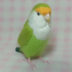 ライフサイズ　コザクラインコ　ブルーチェリー系　羊毛フェルト　受注作成　うちのこオーダー可能　羊毛インコ　工房小鳥屋さん 2枚目の画像