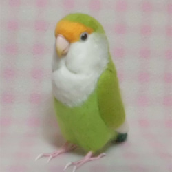 ライフサイズ　コザクラインコ　ブルーチェリー系　羊毛フェルト　受注作成　うちのこオーダー可能　羊毛インコ　工房小鳥屋さん 3枚目の画像