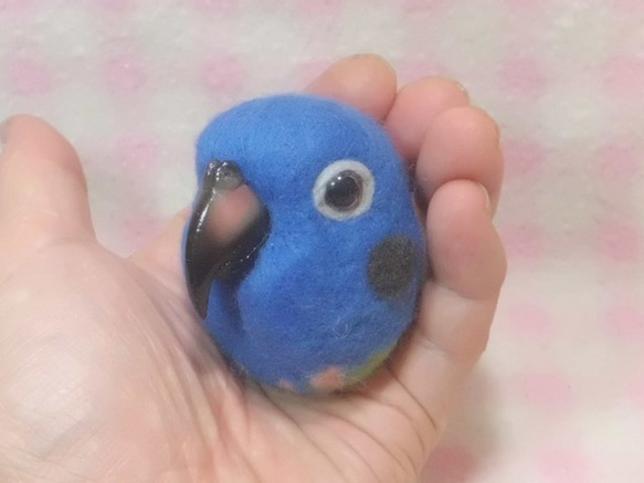 ☆ アケボノインコ☆　羊毛インコ(中型インコ）☆マグネット/ブローチ どちらか選択 受注作成　羊毛インコ　工房小鳥屋さん 1枚目の画像