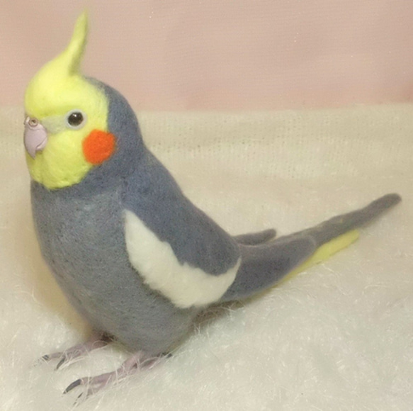 ライフサイズ オカメインコ ノーマル♂　羊毛フェルト　受注作成　羊毛インコ　メモリアル　羊毛ぬいぐるみ　工房小鳥屋さん 4枚目の画像