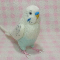 ライフサイズ セキセイインコ 白ハルクイン系 羊毛フェルト　鼻の色変更可能　受注作成　羊毛インコ　工房小鳥屋さん 1枚目の画像