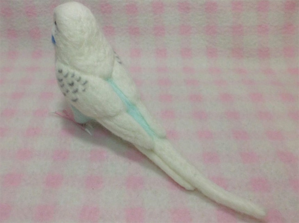 ライフサイズ セキセイインコ 白ハルクイン系 羊毛フェルト　鼻の色変更可能　受注作成　羊毛インコ　工房小鳥屋さん 5枚目の画像