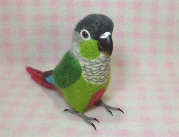 ***現實大小♪頬緑鱗鸚哥☆羊毛氈***Green-cheeked Parakeet 第1張的照片