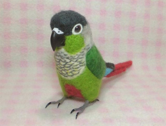 ほぼライフサイズ　ホオミドリアカオウロコインコ  Green-cheeked Parakeet 羊毛インコ 受注作成 2枚目の画像