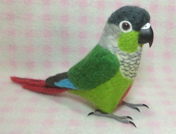 ほぼライフサイズ　ホオミドリアカオウロコインコ  Green-cheeked Parakeet 羊毛インコ 受注作成 3枚目の画像