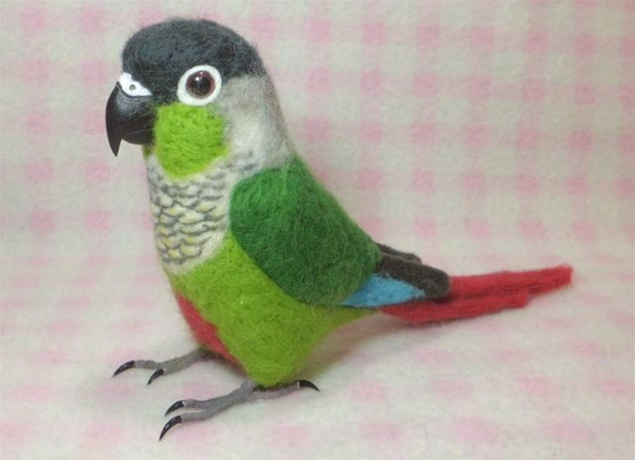 ほぼライフサイズ　ホオミドリアカオウロコインコ  Green-cheeked Parakeet 羊毛インコ 受注作成 4枚目の画像