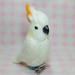 Lesser Sulphur-crested Cockatoo　★夾＆胸針★clip & brooch 第2張的照片