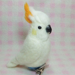 Lesser Sulphur-crested Cockatoo　★夾＆胸針★clip & brooch 第4張的照片