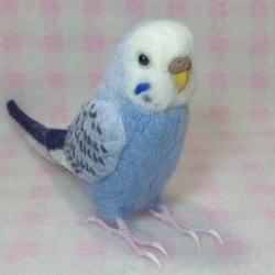 リアルサイズ ボタンインコ ブルボ ブルーボタンインコ 羊毛 リアルサイズ ボタンインコ ブルボ ブルーボタンインコ 羊毛