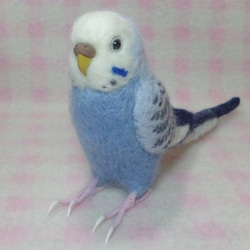 セキセイインコ ライラックオパ－リン   リアル♪ ほぼライフサイズ 羊毛フェルト　鼻の色変更可能　受注作成　羊毛インコ 2枚目の画像