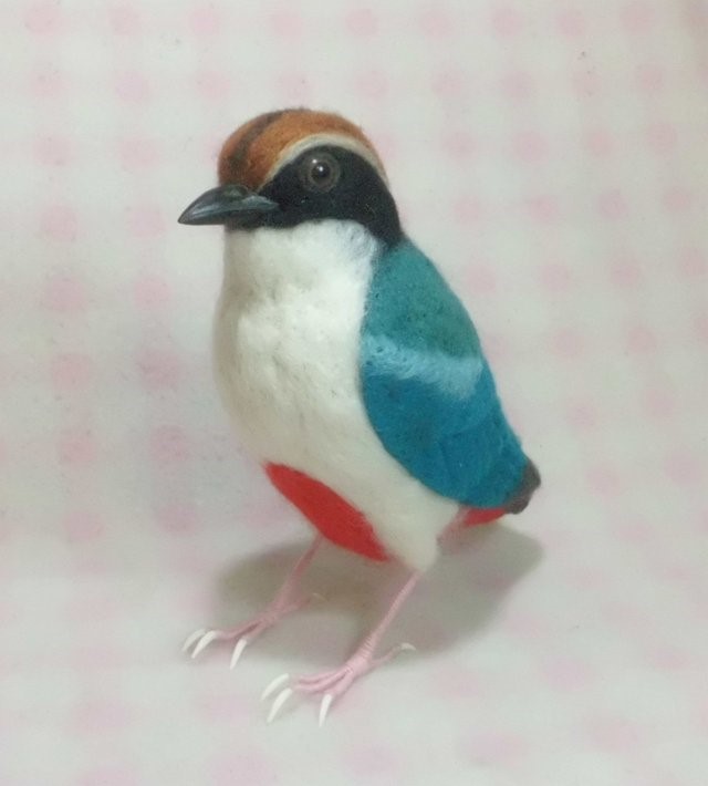 ライフサイズ ヤイロチョウ　八色鳥　受注作成　野鳥 羊毛フェルト　羊毛ぬいぐるみ　工房小鳥屋さん　メモリアル