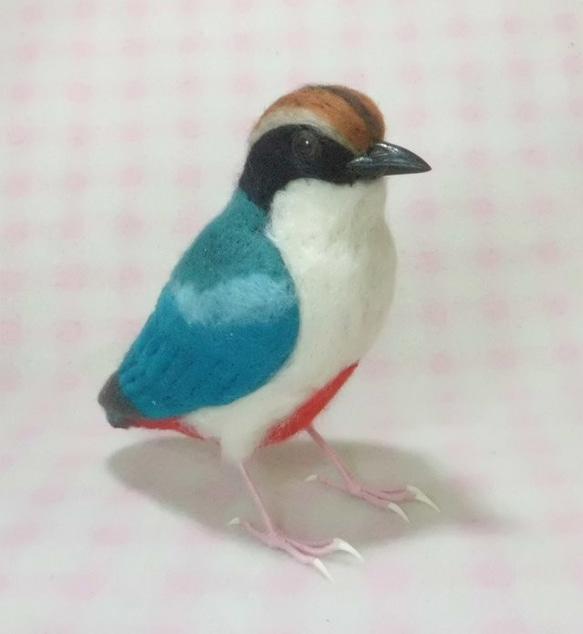 ライフサイズ ヤイロチョウ　八色鳥　受注作成　野鳥 羊毛フェルト　羊毛ぬいぐるみ　工房小鳥屋さん　メモリアル 2枚目の画像