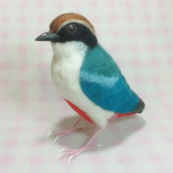 ライフサイズ ヤイロチョウ　八色鳥　受注作成　野鳥 羊毛フェルト　羊毛ぬいぐるみ　工房小鳥屋さん　メモリアル 3枚目の画像