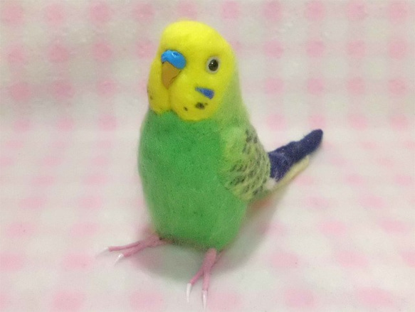 セキセイインコ 牧場色グリーンオパ－リン ほぼライフサイズ 羊毛