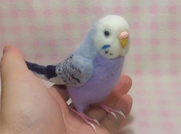 リアルサイズ♪ セキセイインコ パステルバイオレットオパ－リン   羊毛フェルト 1枚目の画像