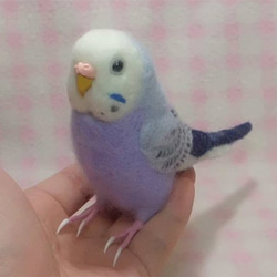 リアルサイズ♪ セキセイインコ パステルバイオレットオパ－リン   羊毛フェルト 2枚目の画像