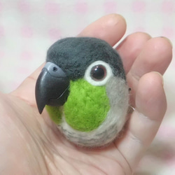 ☆ホオミドリアカオウロコインコ☆羊毛インコ☆マグネット/ブローチ どちらか選択 受注作成　うちのこオーダ可能 1枚目の画像