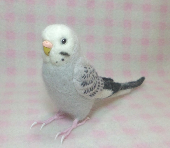 ほぼライフサイズ♪ セキセイインコ モーブ グレー 羊毛フェルト　鼻の色変更可能　受注作成　羊毛インコ　工房小鳥屋さん 1枚目の画像