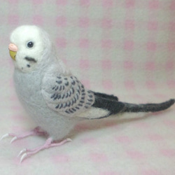 ほぼライフサイズ♪ セキセイインコ モーブ グレー 羊毛フェルト　鼻の色変更可能　受注作成　羊毛インコ　工房小鳥屋さん 2枚目の画像