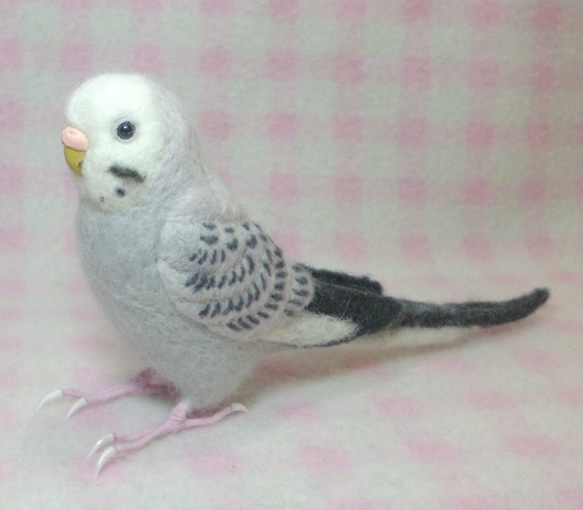 ほぼライフサイズ♪ セキセイインコ モーブ グレー 羊毛フェルト　鼻の色変更可能　受注作成　羊毛インコ　工房小鳥屋さん 2枚目の画像