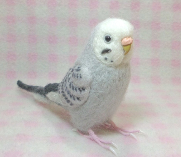 ほぼライフサイズ♪ セキセイインコ モーブ グレー 羊毛フェルト　鼻の色変更可能　受注作成　羊毛インコ　工房小鳥屋さん 3枚目の画像