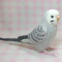 ほぼライフサイズ♪ セキセイインコ モーブ グレー 羊毛フェルト　鼻の色変更可能　受注作成　羊毛インコ　工房小鳥屋さん 4枚目の画像