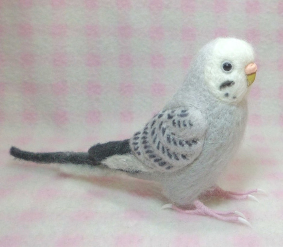 ほぼライフサイズ♪ セキセイインコ モーブ グレー 羊毛フェルト　鼻の色変更可能　受注作成　羊毛インコ　工房小鳥屋さん 4枚目の画像