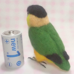 ズグロシロハラインコ mini♪☆足付タイプ(付属金具無し） 羊毛フェルト　受注作成　 羊毛インコ　メモリアル 5枚目の画像