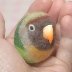 ラブバード ヤエザクラインコ　羊毛フェルト ☆マグネット/ブローチどちらか選択 うちのこオーダー可能  受注作成 2枚目の画像