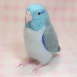 ***現實大小♪太平洋鹦哥☆羊毛氈***Pacific Parrotlet ・ Celestial Parrotle 第1張的照片