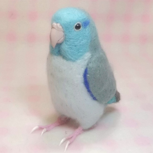 リアルサイズ ボタンインコ ブルボ ブルーボタンインコ 羊毛