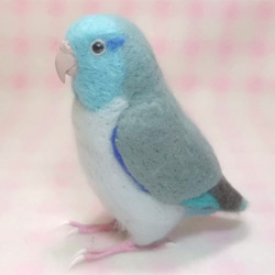 ***現實大小♪太平洋鹦哥☆羊毛氈***Pacific Parrotlet ・ Celestial Parrotle 第3張的照片