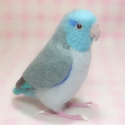 ***現實大小♪太平洋鹦哥☆羊毛氈***Pacific Parrotlet ・ Celestial Parrotle 第4張的照片