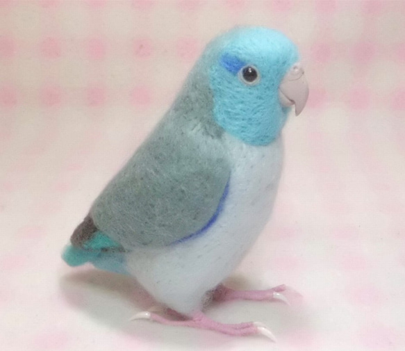 ライフサイズ  マメルリハ  羊毛インコ　受注作成　うちのこオーダー可能　羊毛フェルト　メモリアル　工房小鳥屋さん 4枚目の画像